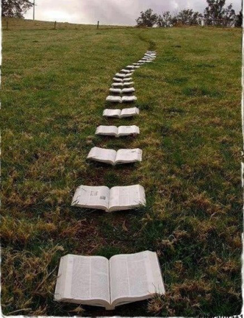 Camino de libros